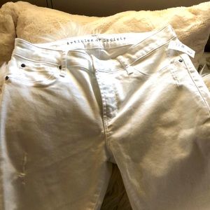 Articles of Society Sz 29 Brand new with tags!